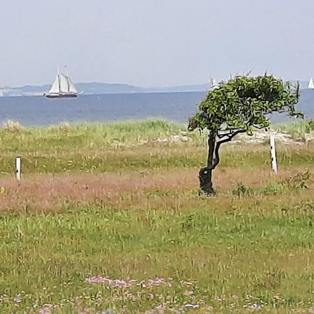 Wormshoeft 16 Hasselberg  Eksteriør bilde